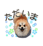 ぬのかわ犬猫病院スタンプ:2（個別スタンプ：4）