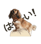 ぬのかわ犬猫病院スタンプ:2（個別スタンプ：6）
