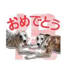 ぬのかわ犬猫病院スタンプ:2（個別スタンプ：14）