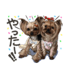 ぬのかわ犬猫病院スタンプ:2（個別スタンプ：15）