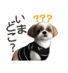 ぬのかわ犬猫病院スタンプ:2（個別スタンプ：25）