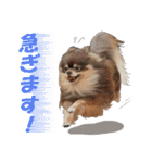 ぬのかわ犬猫病院スタンプ:2（個別スタンプ：28）