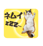 ぬのかわ犬猫病院スタンプ:2（個別スタンプ：31）