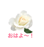 yasuおばさんの薔薇のささやき2（個別スタンプ：20）