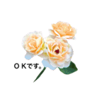yasuおばさんの薔薇のささやき2（個別スタンプ：24）