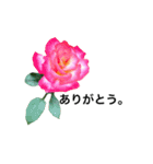 yasuおばさんの薔薇のささやき2（個別スタンプ：27）
