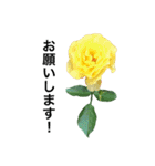 yasuおばさんの薔薇のささやき2（個別スタンプ：31）