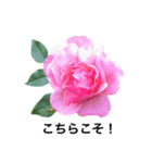 yasuおばさんの薔薇のささやき2（個別スタンプ：35）