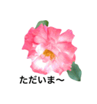 yasuおばさんの薔薇のささやき2（個別スタンプ：37）
