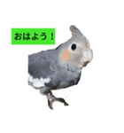 ピースケと仲間たち（個別スタンプ：1）