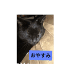 ピースケと仲間たち（個別スタンプ：2）