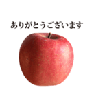 りんご と 敬語（個別スタンプ：1）