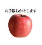 りんご と 敬語（個別スタンプ：2）