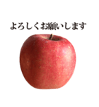 りんご と 敬語（個別スタンプ：3）