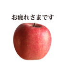りんご と 敬語（個別スタンプ：8）