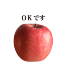 りんご と 敬語（個別スタンプ：14）