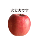りんご と 敬語（個別スタンプ：15）