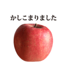 りんご と 敬語（個別スタンプ：16）