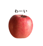 りんご と 敬語（個別スタンプ：18）