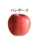 りんご と 敬語（個別スタンプ：19）