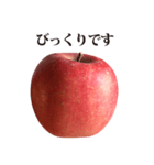 りんご と 敬語（個別スタンプ：27）