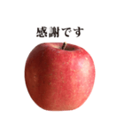 りんご と 敬語（個別スタンプ：33）