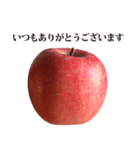 りんご と 敬語（個別スタンプ：34）