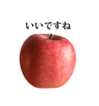 りんご と 敬語（個別スタンプ：36）