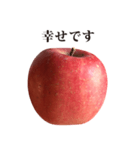 りんご と 敬語（個別スタンプ：39）