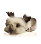 うさぎのふわりちゃん♡（個別スタンプ：1）