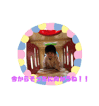 みきやくんスタンプ4（個別スタンプ：14）