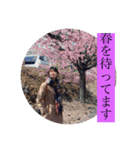 みんなのアイドルなかまさんとその仲間たち（個別スタンプ：20）