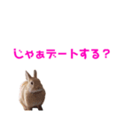 うさぎのとんかつ③（個別スタンプ：8）