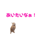 うさぎのとんかつ③（個別スタンプ：14）