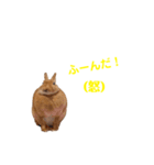 うさぎのとんかつ③（個別スタンプ：16）