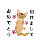アビにゃん 冬ver.（個別スタンプ：1）
