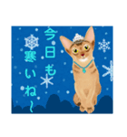 アビにゃん 冬ver.（個別スタンプ：4）