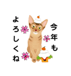 アビにゃん 冬ver.（個別スタンプ：5）