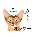アビにゃん 冬ver.（個別スタンプ：12）