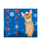 アビにゃん 冬ver.（個別スタンプ：23）