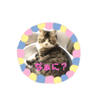 ジャグさんとヴァルさん（個別スタンプ：7）