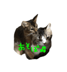 ジャグさんとヴァルさん（個別スタンプ：8）