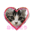 ジャグさんとヴァルさん（個別スタンプ：12）