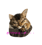 ジャグさんとヴァルさん（個別スタンプ：17）