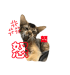 ジャグさんとヴァルさん（個別スタンプ：18）