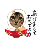 ジャグさんとヴァルさん（個別スタンプ：27）