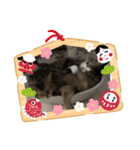 ジャグさんとヴァルさん（個別スタンプ：30）