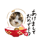 ジャグさんとヴァルさん（個別スタンプ：32）