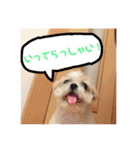 毎日おペロ♡（個別スタンプ：4）