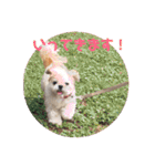 毎日おペロ♡（個別スタンプ：5）